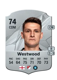 Ashley Westwood FIFA Ultimate Team Coins Kaufen