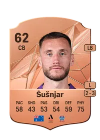 Aleksandar Šušnjar Credit FUT