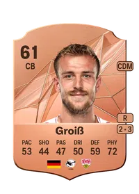 Alexander Groiß Credits FC 25