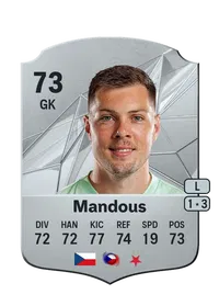 Aleš Mandous FIFA Crediti