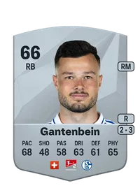 Adrian Gantenbein Credit FC25