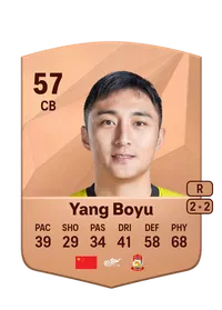 Boyu Yang Credit FC25