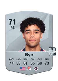 Brandon Bye Credit FIFA