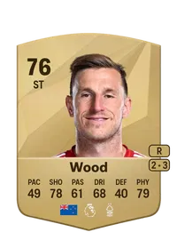 Chris Wood FIFA FUT Coins Kaufen