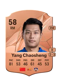 Chaosheng Yang Crediti FIFA 25