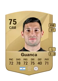 Cristian Guanca Crediti FIFA