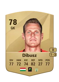 Dénes Dibusz Crediti FIFA