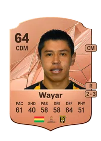 Diego Wayar Coins FUT