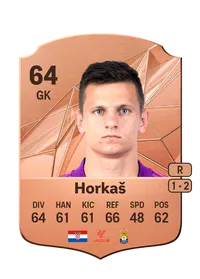 Dinko Horkau0161 CreditFUT