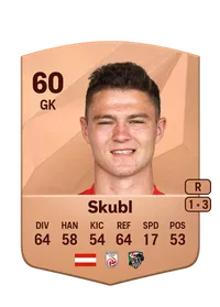 David Skubl FIFA Coins Verkaufen