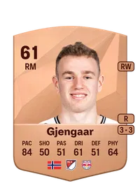 Dennis Gjengaar Credit FC25