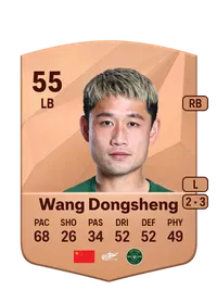 Dongsheng Wang Acheter Des Credit FC 25