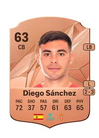 Diego Sánchez Pérez Crediti FIFA