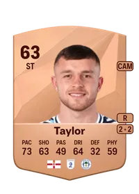 Dale Taylor Credits FC 25