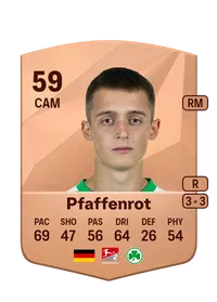 Denis Pfaffenrot Credit FC25