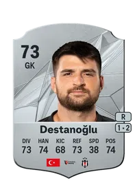 Ersin Destanou011flu