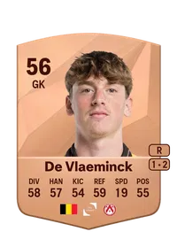 Ebbe De Vlaeminck