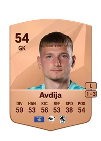 Erion Avdija