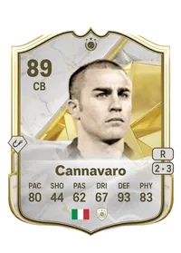 Fabio Cannavaro