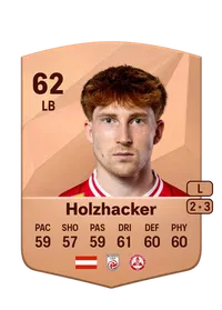 Felix Holzhacker FIFA Ultimate Team Coins Kaufen