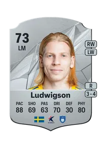 Gustav Ludwigson Credit FIFA