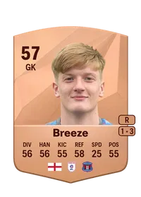 Gabriel Breeze CreditFUT
