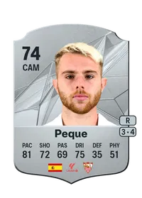 Gerard Fdez. Castellano FIFA FUT Coins Kaufen