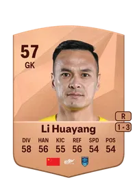 Huayang Li FIFA Crediti