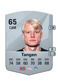 Harald Nilsen Tangen Compra Monedas FC 25
