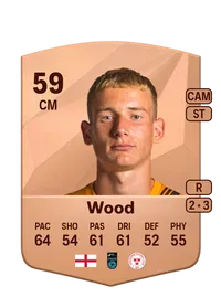 Harry Wood FIFA FUT Coins Kaufen