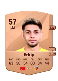 Hayrullah Erkip Achat Credit FC 25