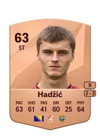 Irfan Hadžić Credit FC 25
