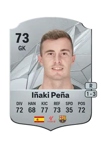 Ignacio Peña Sotorres Crediti FIFA
