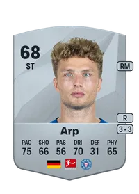 Jann-Fiete Arp FIFA Ultimate Team Coins Kaufen