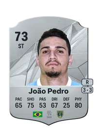 João Pedro Pereira dos Santos Monedas FC 25