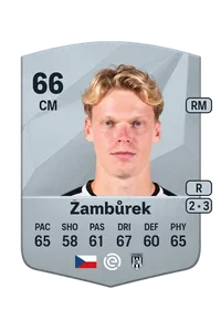 Jan Žambůrek Crediti FIFA