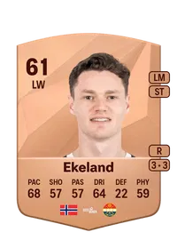 Jostein Ekeland FIFA Coins Verkaufen