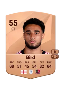 Jay Bird FIFA Ultimate Team Coins Kaufen