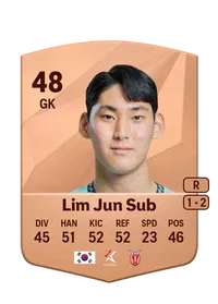 Jun Sub Lim FIFA Crediti