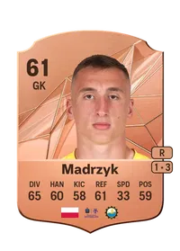 Jakub Madrzyk FIFA 25 Coins