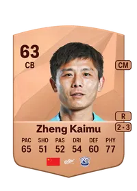 Kaimu Zheng FIFA Ultimate Team Coins Kaufen