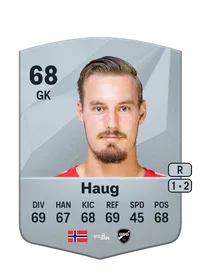 Kjetil Haug Crediti FIFA 25