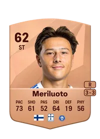 Kai Meriluoto