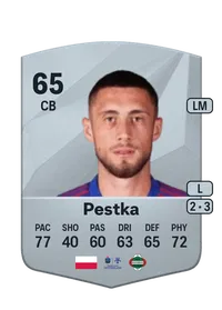 Kamil Pestka FUT Coins Kaufen