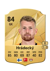 Lukáš Hrádecký FIFA Münzen Kaufen