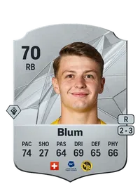 Lewin Blum FIFA Crediti