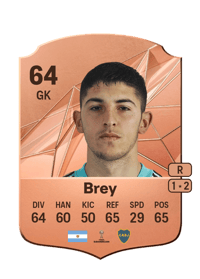 Leandro Brey FIFA Ultimate Team Coins Kaufen