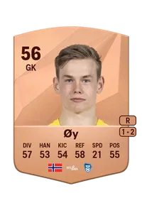 Leander Øy FIFA Ultimate Team Coins Kaufen