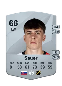 Leo Sauer Crediti FIFA