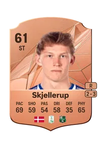 Laurs Skjellerup Crediti FIFA